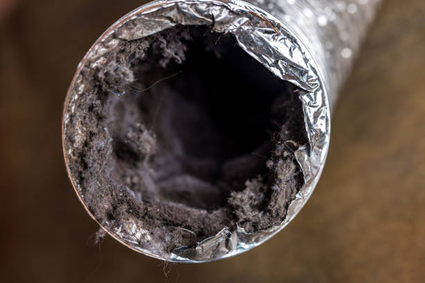 Best Air Duct Cleaning Company Near Me  in Mission Viejo, CA
