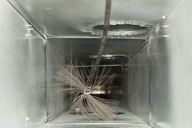 Air Duct Mold Removal in CA